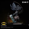 Batman IKIGAI (Prototype Shown) View 7