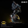 Batman IKIGAI (Prototype Shown) View 8