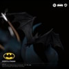 Batman IKIGAI (Prototype Shown) View 10