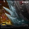 Batman IKIGAI (Prototype Shown) View 11