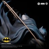 Batman IKIGAI (Prototype Shown) View 13