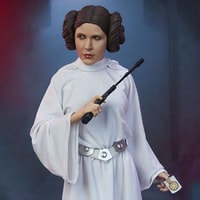 Leia premium format outlet