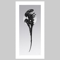 Alien Perfect Specimen Fine Art Print by Nekro | Sideshow