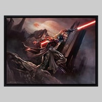 Star Wars Darth Maul™: Savage Rage Art Print 