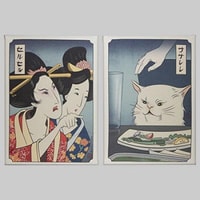 Woman Yelling At Cat