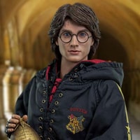 Harry Potter (Triwizard Tournament Version)