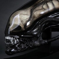 Alien Head Prop Replica by H.R. Giger   Sideshow Collectibles