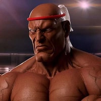 Sagat Victory