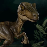 Jurassic Park Velociraptor Mini Co Collectible Figure