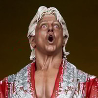 Ric Flair