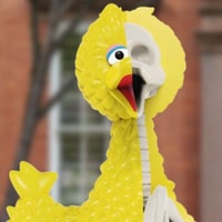 XXRAY Plus Big Bird PVC Art Collectible by Jason Freeny | Sideshow