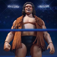 Andre the Giant