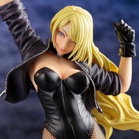 Black Canary (2nd Edition)