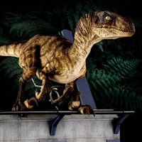 Breakout Raptor