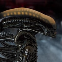 Alien Big Chap