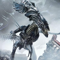 Queen Alien Battle