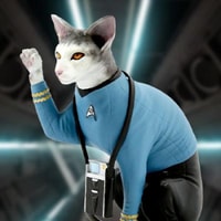 Spock Cat