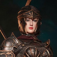 Royal Defender (Black)