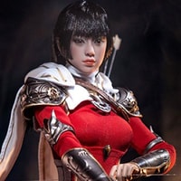 Nordic Fighter (Asian Version)