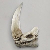 Mudhorn Skull Wall Decor