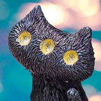 Fantasy Night Cat