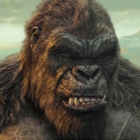Kong