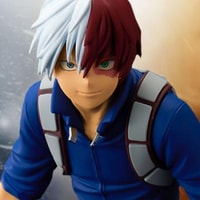 Shoto Todoroki (The Anime)