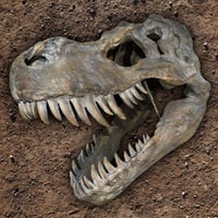 Tyrannosaurus Rex Large Skull Wall Decor