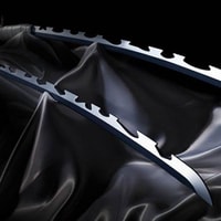 Nichirin Sword (Inosuke Hashibira)
