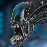Xenomorph Head