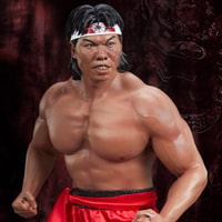 Bolo Yeung: Kung Fu Tribute