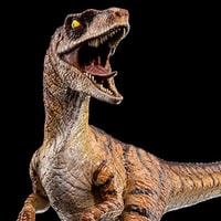 Velociraptor