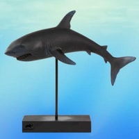 Animal Planet Shark