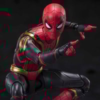 Spider-Man [Integrated Suit]《FINAL BATTLE》 Edition