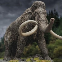 Woolly Mammoth 2.0
