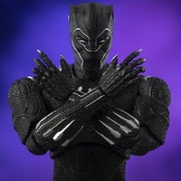 DLX Black Panther