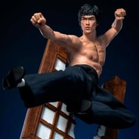 【激安通販 オンラインショップ】 Ace Star by Statue (Flying-Kick) Lee Bruce Toys Sideshow | カードファイト!! ヴァンガード