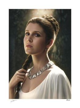 Star Wars Princess Leia Organa™: Victory for the Rebellion Art Print 
