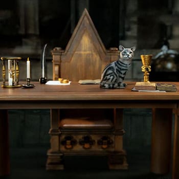 Minerva McGonagall (Desk Pack)