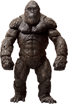 Kong