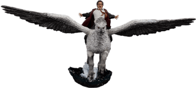 Harry Potter & Buckbeak Deluxe