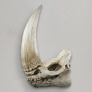 Mudhorn Skull Wall Decor