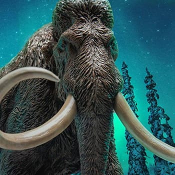 Woolly Mammoth