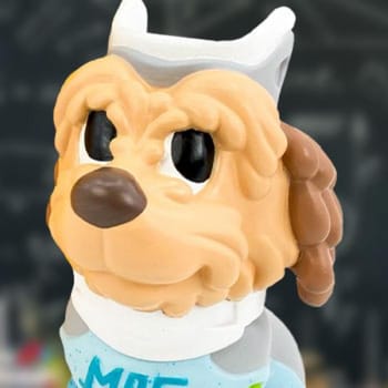 Einstein Mag Pup