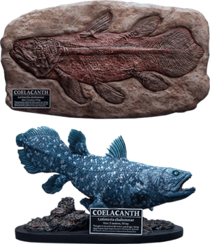 Coelacanth (Deluxe Version)