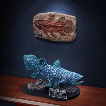 Coelacanth (Deluxe Version)
