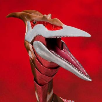 Rodan (2021) The Second Form