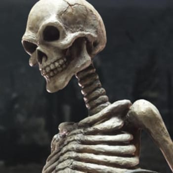 Skeleton Army (Normal Version)