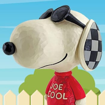 Joe Cool