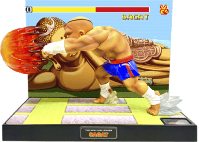 Sagat